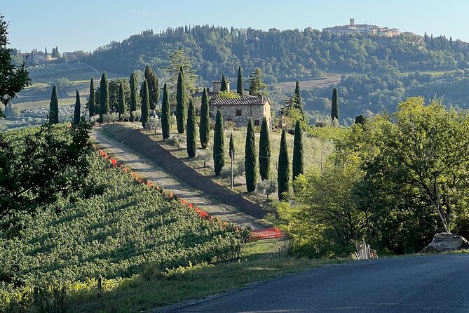 Private Chianti Scooter Tours for Solo Travelers - Good To Know