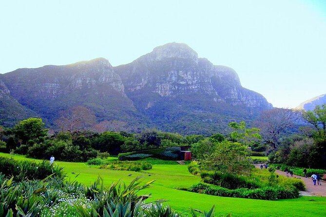 Private Constantia Winelands and Kirstenbosch Luxury Guided Tour - Good To Know