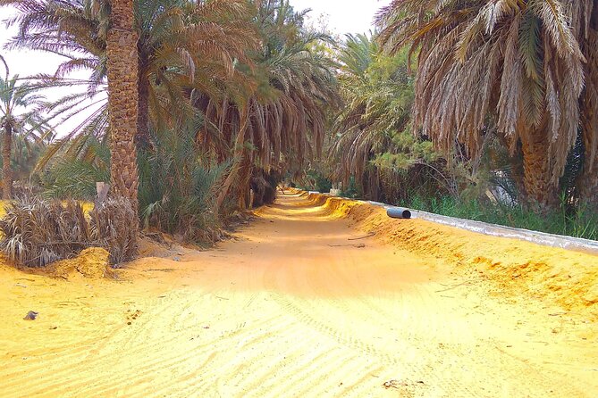Private Day Tour in Ksar Ghilane With Lunch and Pickup - Good To Know
