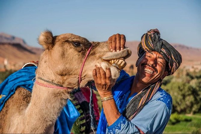 Private Day Trip to Ait Ben Haddou From Marrakech, With Pickup - Good To Know