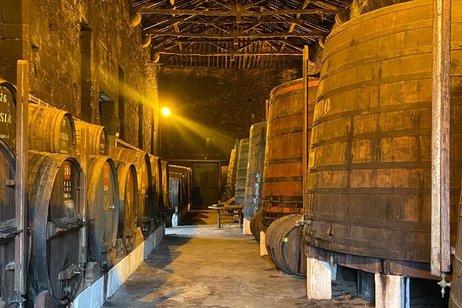 Private Douro Valley Tour With Yacht, Wine Tasting and Lunch - Included Activities