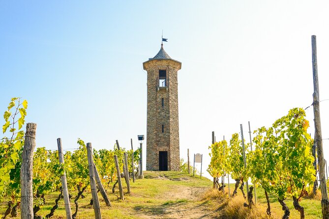 Private E-Bike Tour Monferrato Di Canelli - Asphalt Only