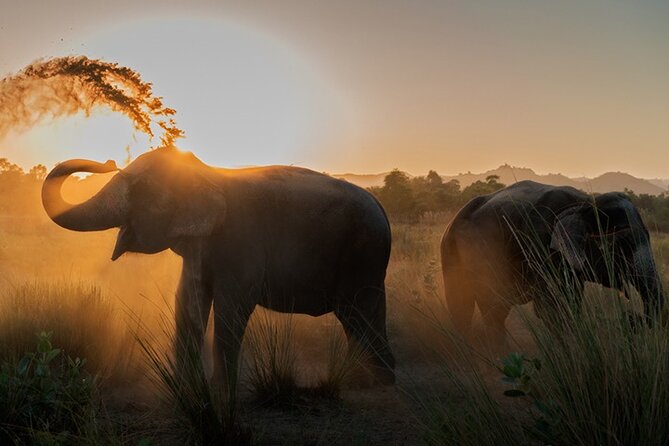 Private Elephant Sanctuary - Good To Know