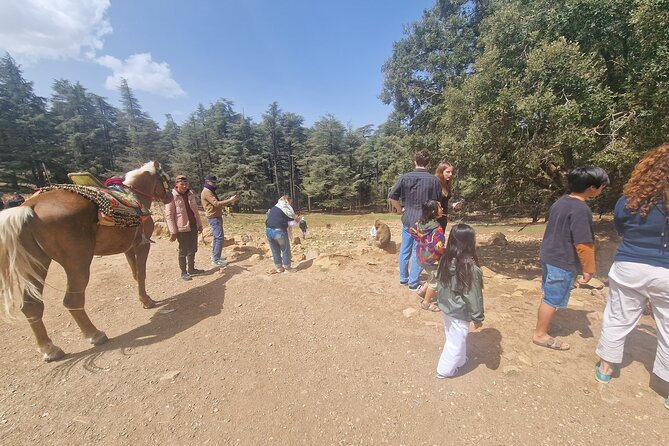 Private Fes to Middle Atlas With Hiking in Cedar Forest - Good To Know