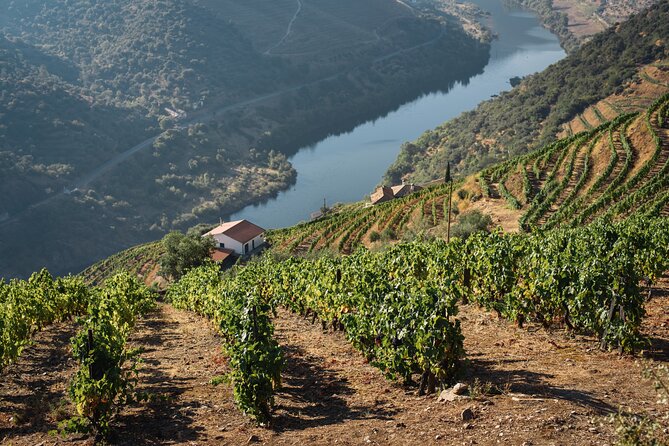 Private Full Day Douro Tour With Lunch - Good To Know