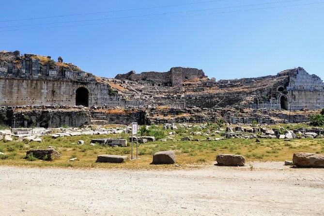 Private Full-Day Ephesus Tour With Miletus and Didyma for Cruise Guests