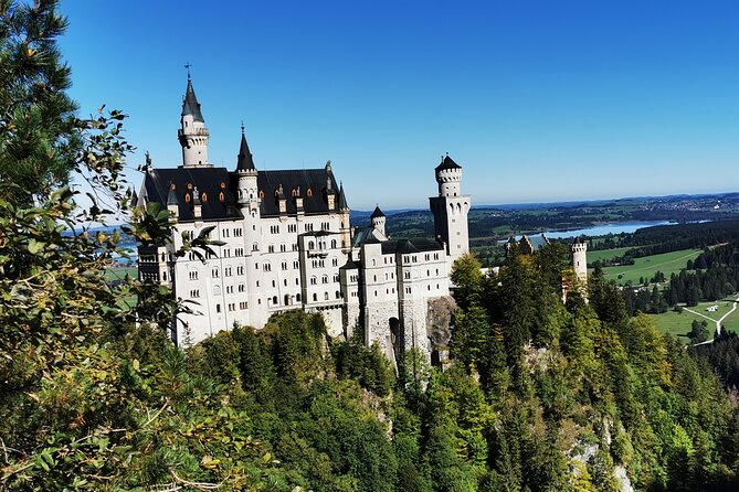 Private Full Day Neuschweinstein Castle Tour From Munich - Good To Know