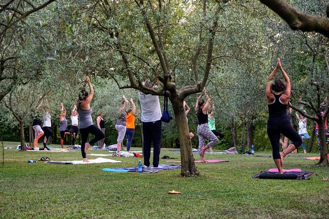 Private Full Day Tour and Yoga of the Prosecco Hills - Good To Know