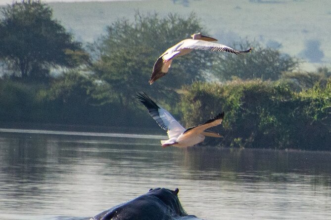 Private Full Day Tour in Lake Naivasha - Good To Know