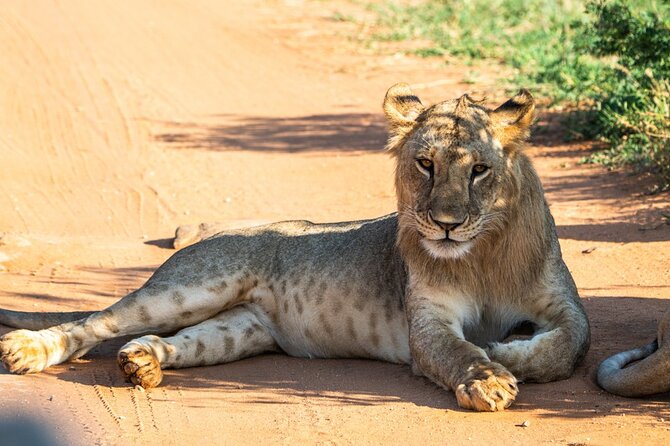 Private Full Day Tour to Tsavo East National Park - Good To Know