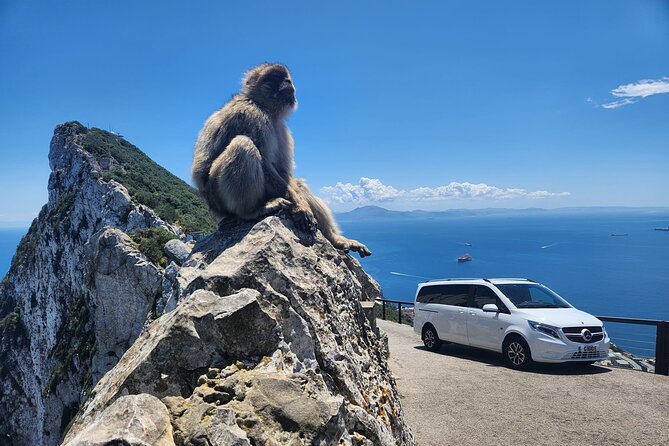 Private Gibraltar Panoramic Tour With Monkeys 1hrs - Good To Know