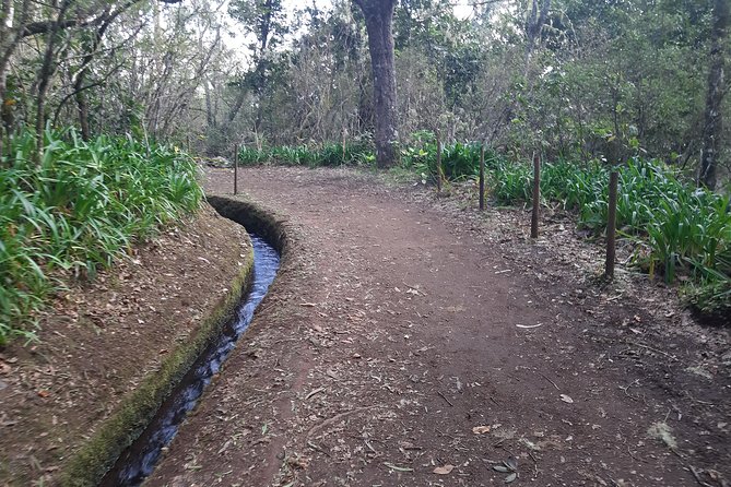 Private Guided Walk Levada Caminho Para Todos Half-Day - Tour Overview