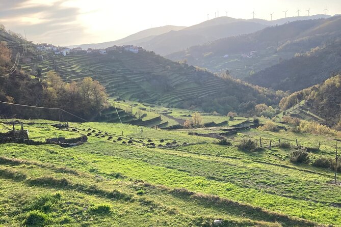 Private Hike Along the Lagoas De Sistelo Trail - Trail Location and Meeting Point