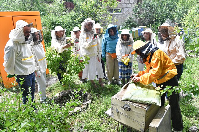 Private Honey Farm Tour and Beeswax Candle Making in Spitak - Tour Details