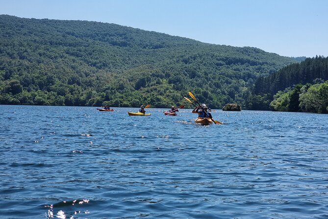 Private Kayak Experience in Pchelina Dam - Good To Know