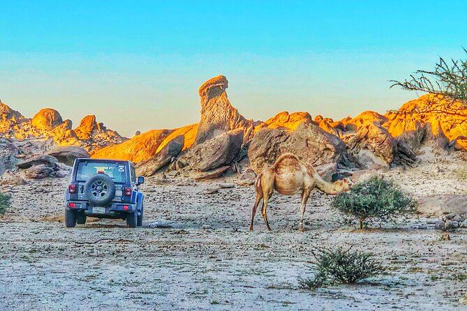 Private Moon Valley Hike Experience in Jeddah - Good To Know