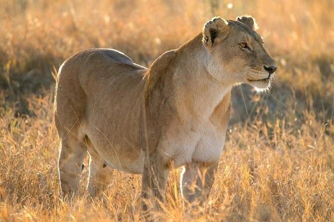 Private Multi Day Safari Tour in Tanzania