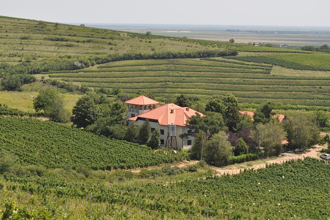 Private Romanian Wine Tasting in Urlași - Wine Selection