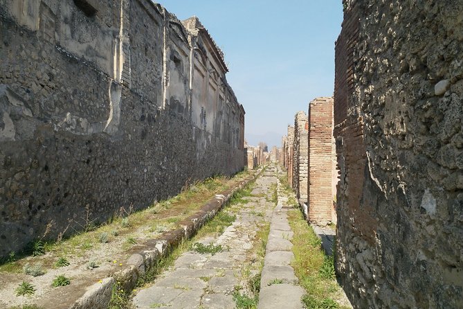 Private Shore Excursion From Naples to Pompeii and Mt Vesuvius for Families - Good To Know