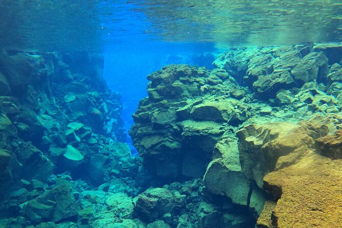 Private Snorkeling Tour Between Tectonic Plates From Reykjavik - Tour Overview
