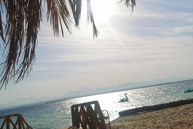 Private Speed Boat to Magawish Island (4 Pax) Including Transfer - Good To Know