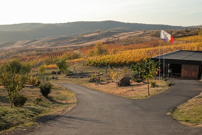 Private Tasting Expedition Along Romania's Most Famous Wine Route