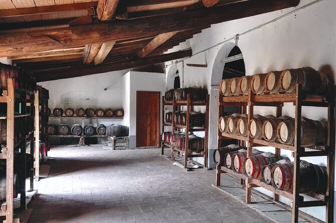 Private Tasting of Organic Wines in the Cellar in Arezzo - Delightful Food Pairings