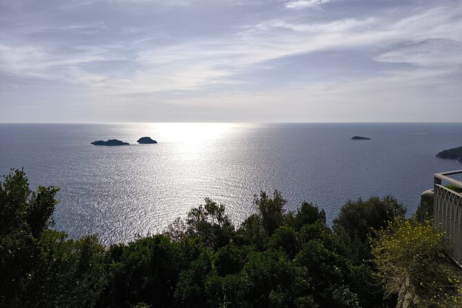 Private Tour by Car Seeing Capri and 1 Hour Visit Positano