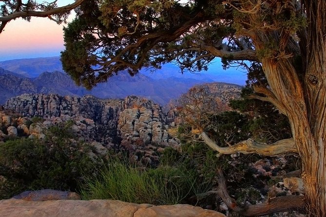 Private Tour: Dana Nature Reserve Hike and Dead Sea With Lunch - Good To Know