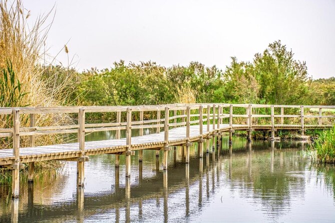 Private Tour Desert Castles Eastern Jordan With Azraq Wetland From Dead Sea - Good To Know