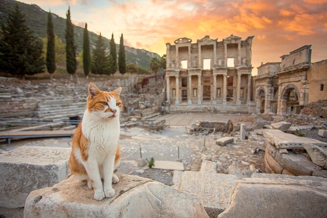 Private Tour Ephesus Full Day From Kusadasi - Good To Know