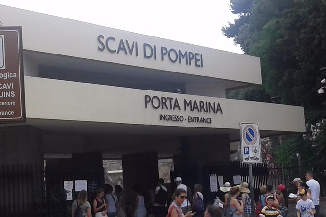 Private Tour | From Naples, Pompeii Ruins to Sorrento With Driver