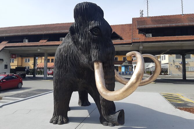 Private Tour in Kamnik - Mammoth - Farmhouse and Organic Farm - Tour Details