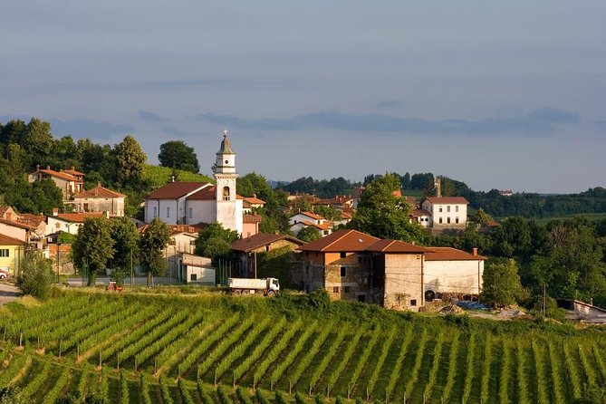 Private Tour of Goriska Brda Wine Hills From Ljubljana - Good To Know