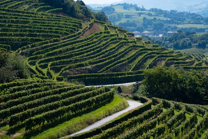 Private Tour of San Sebastian and Getaria With Txakoli Tasting - Good To Know