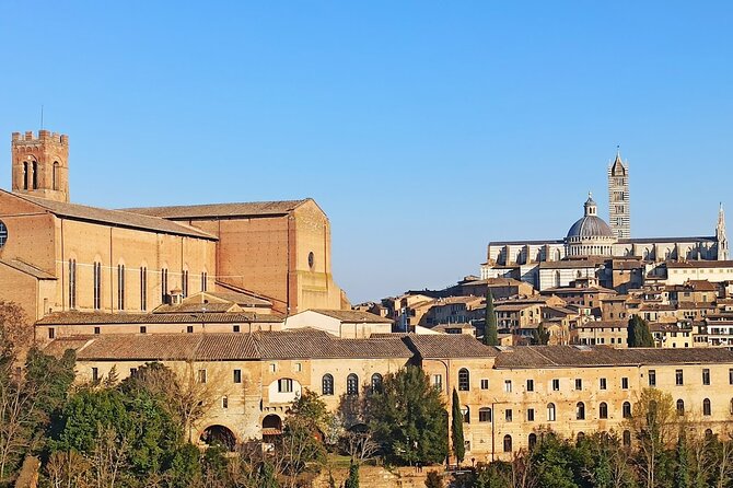 PRIVATE TOUR: Sweet Hills of Chianti & Siena + Lunch & 2 Tastings - Good To Know