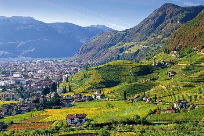 Private Tour the Ultimate South Tyrol Wine & Food Experience - Tour Highlights