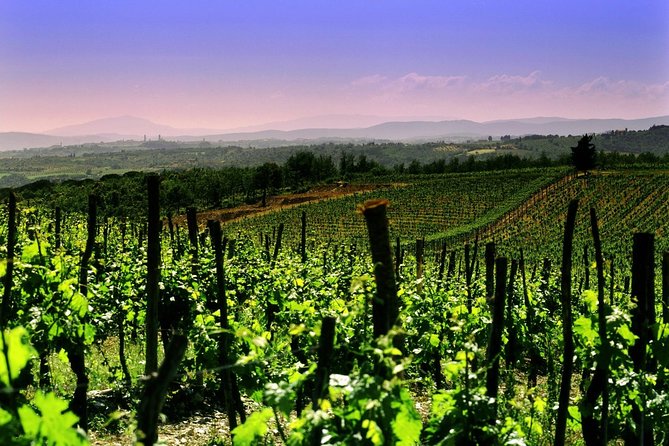 Private Tour to a Winery in Franciacorta and Bergamo From Milan W/ Hotel Pick-Up - Good To Know