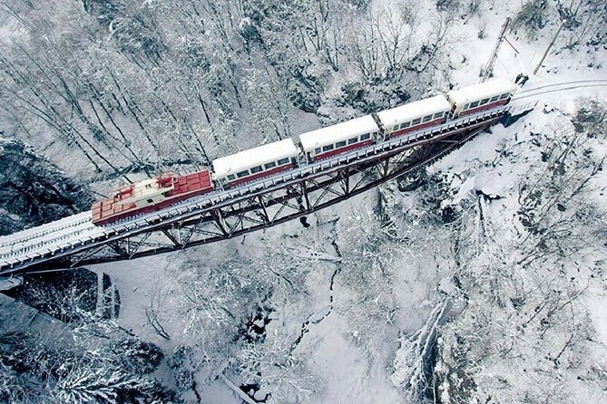 Private Tour to Bakuriani Ski Resort and the Legendary Borjomi - Good To Know