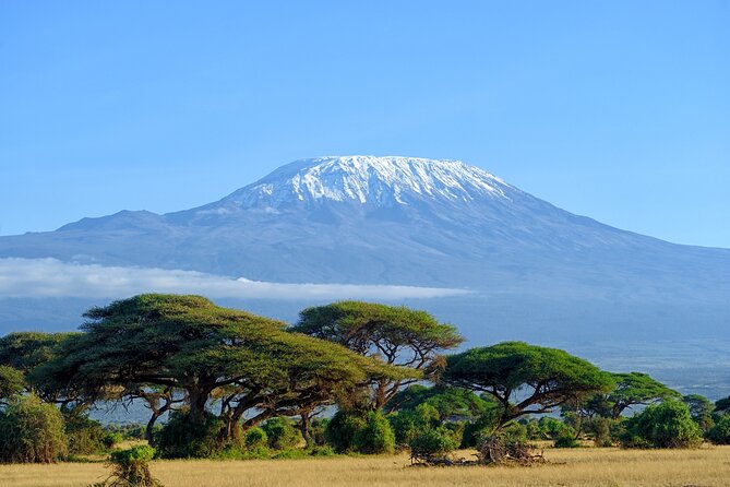 Private Tour to Marangu Waterfalls, Chagga Caves, Coffee Tour & Hot Springs - Good To Know