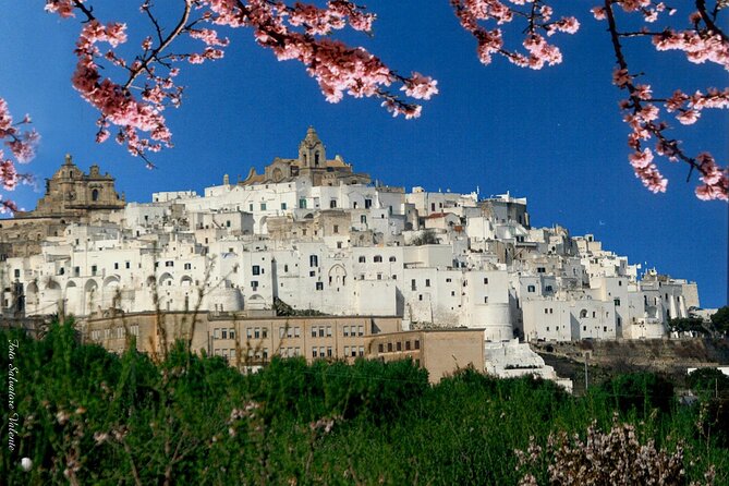 Private Tour to Ostuni,Alberobello,Locorotondo With Wine Tasting