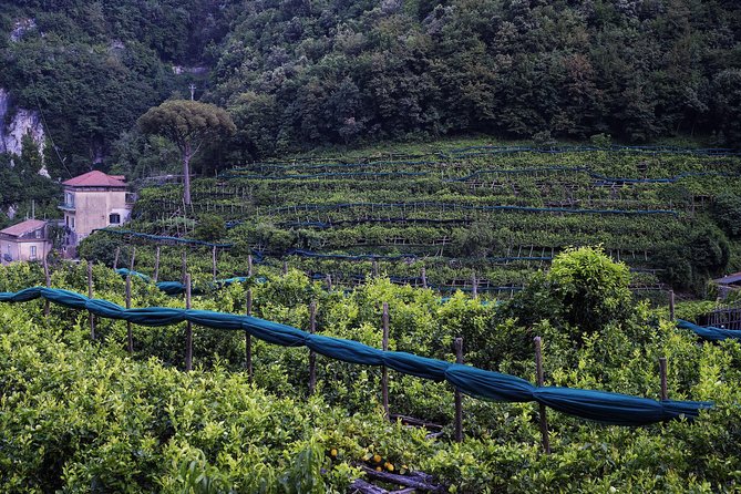 Private Tour: Trekking in the Valley of the Mills - Good To Know