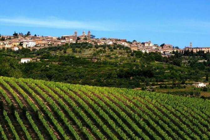 Private Tour Wine and Cheese a Perfect Combinations Val Orcia