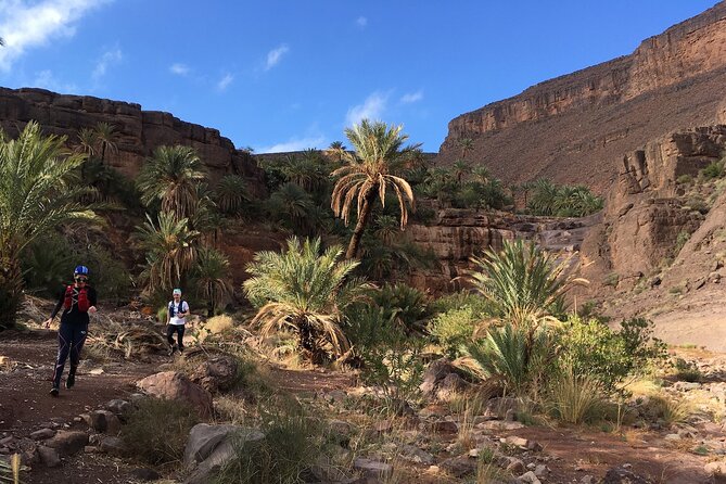Private Trail Running in Ouarzazate - Good To Know