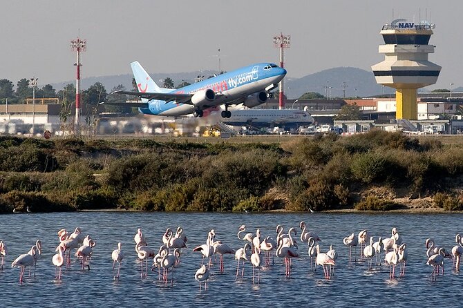 Private Transfer From Faro Airport to Albufeira - Good To Know