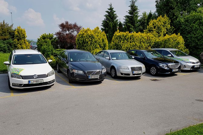 Private Transfer From Krško to Ljubljana Airport - Transfer Details