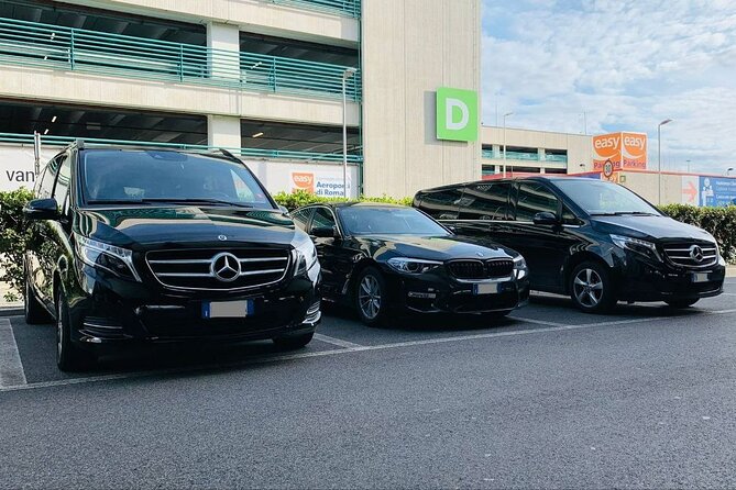 Private Transfer From Palma De Mallorca to Palma De Mallorca Port - Good To Know