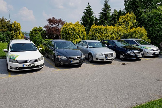 Private Transfer From Ptuj to Ljubljana City - Good To Know