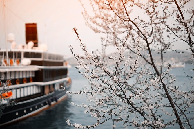 Private Transfer: Vienna to River Cruise Dock Nuremberg - Port/Harbor Transport - Good To Know