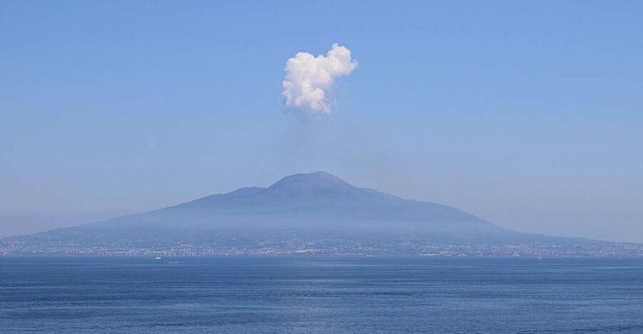 Private Transfert From Praiano to Naples - Service Highlights